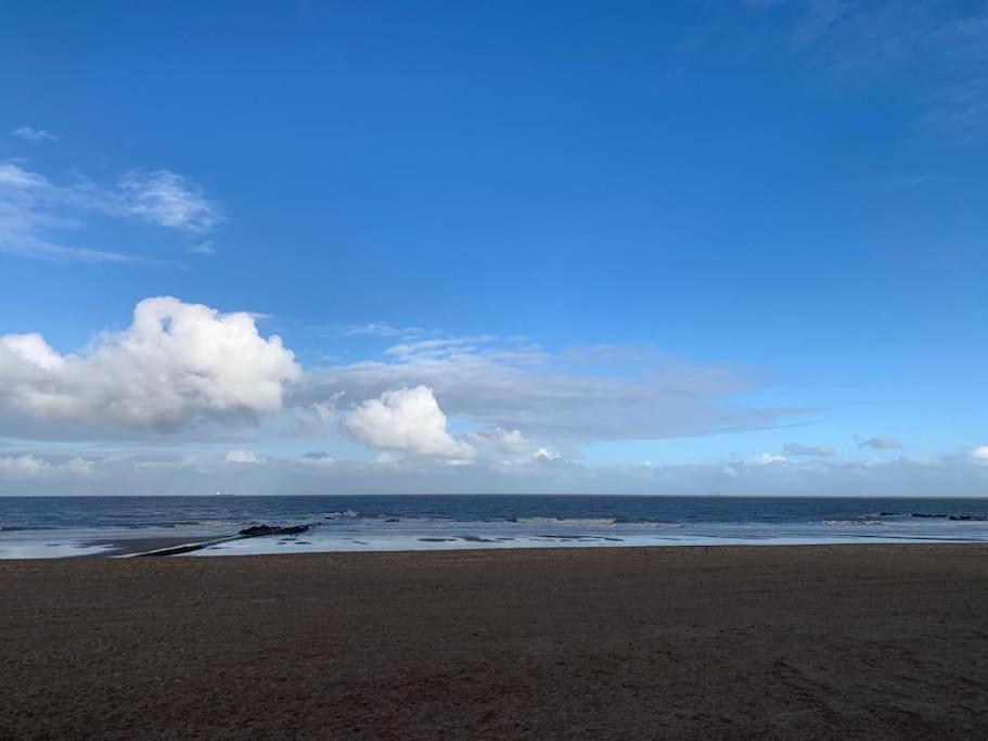 Top Studio Knokke Bij Zeedijk! Ngoại thất bức ảnh